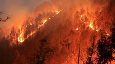 FIRE NEAR MATA VAISHNO DEVI